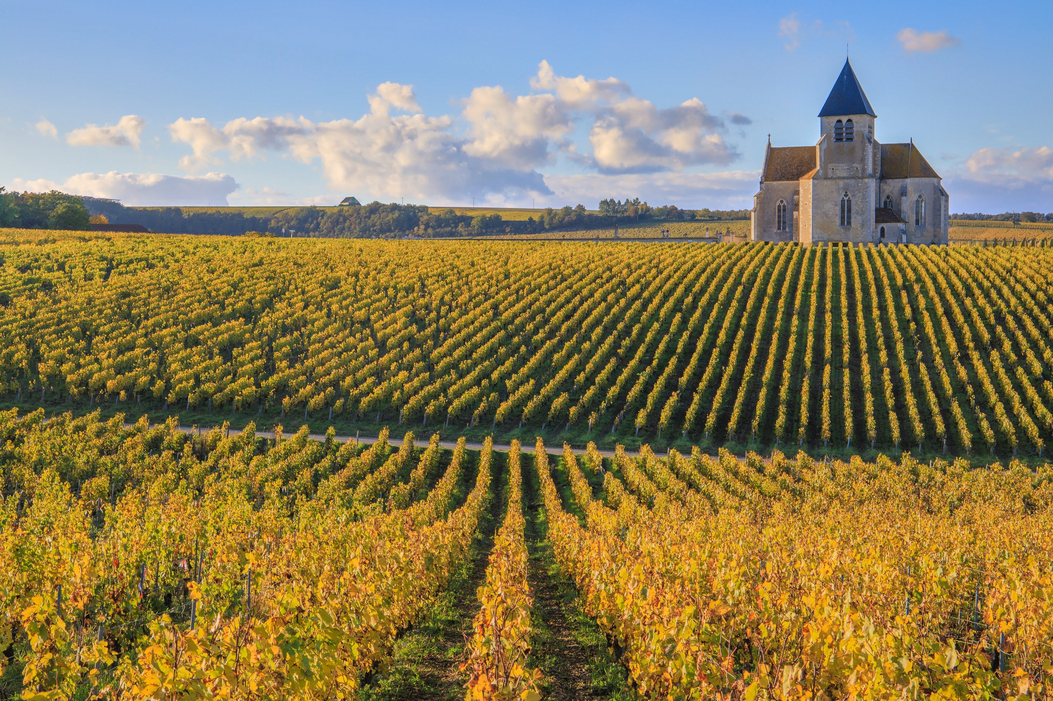Bourgogne