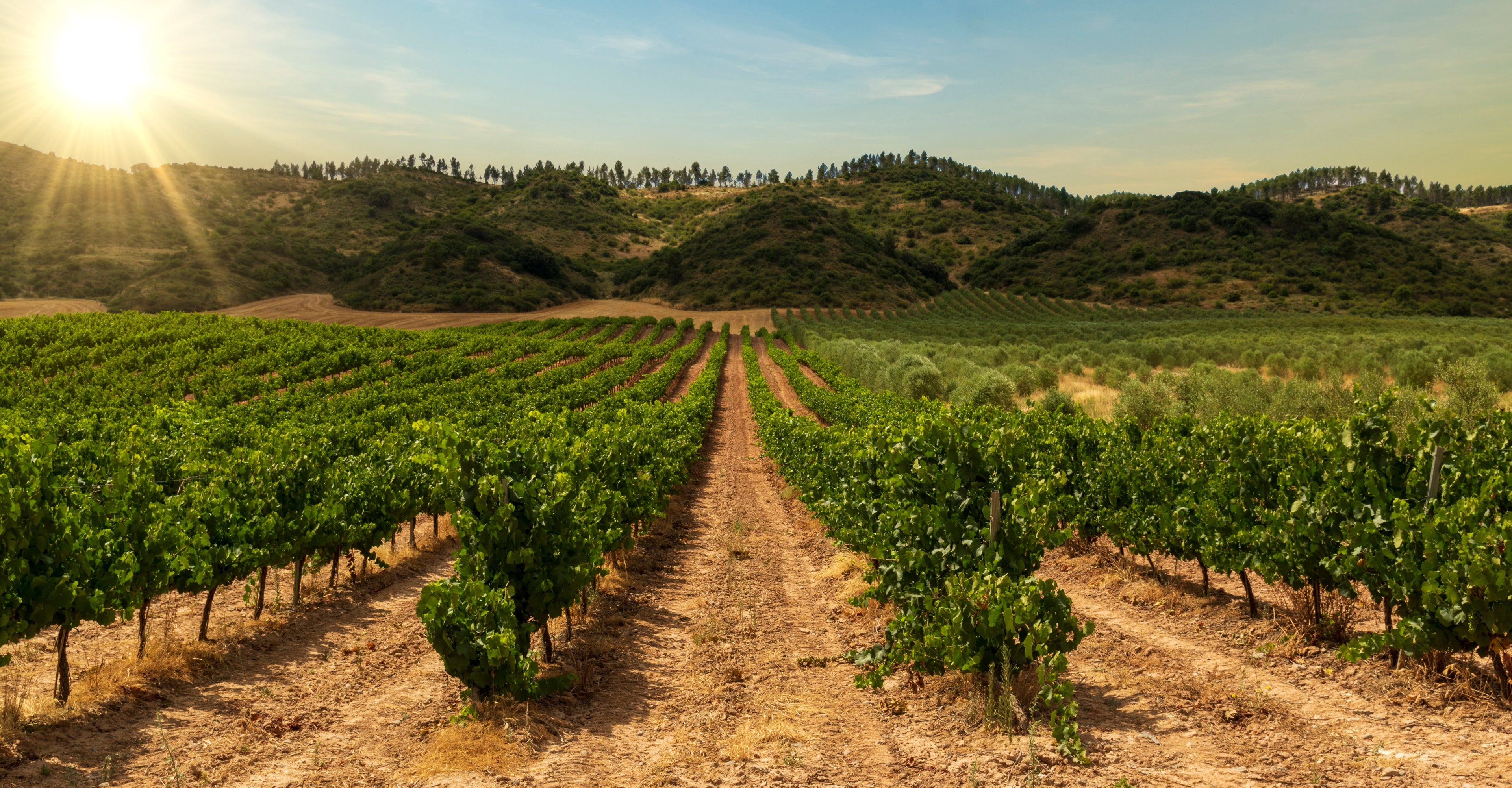 Rioja