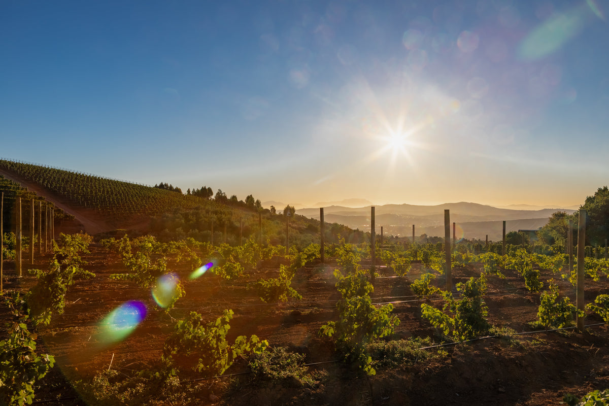 Swartland