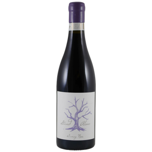Villiera Stand Alone - Gamay Noir 2020