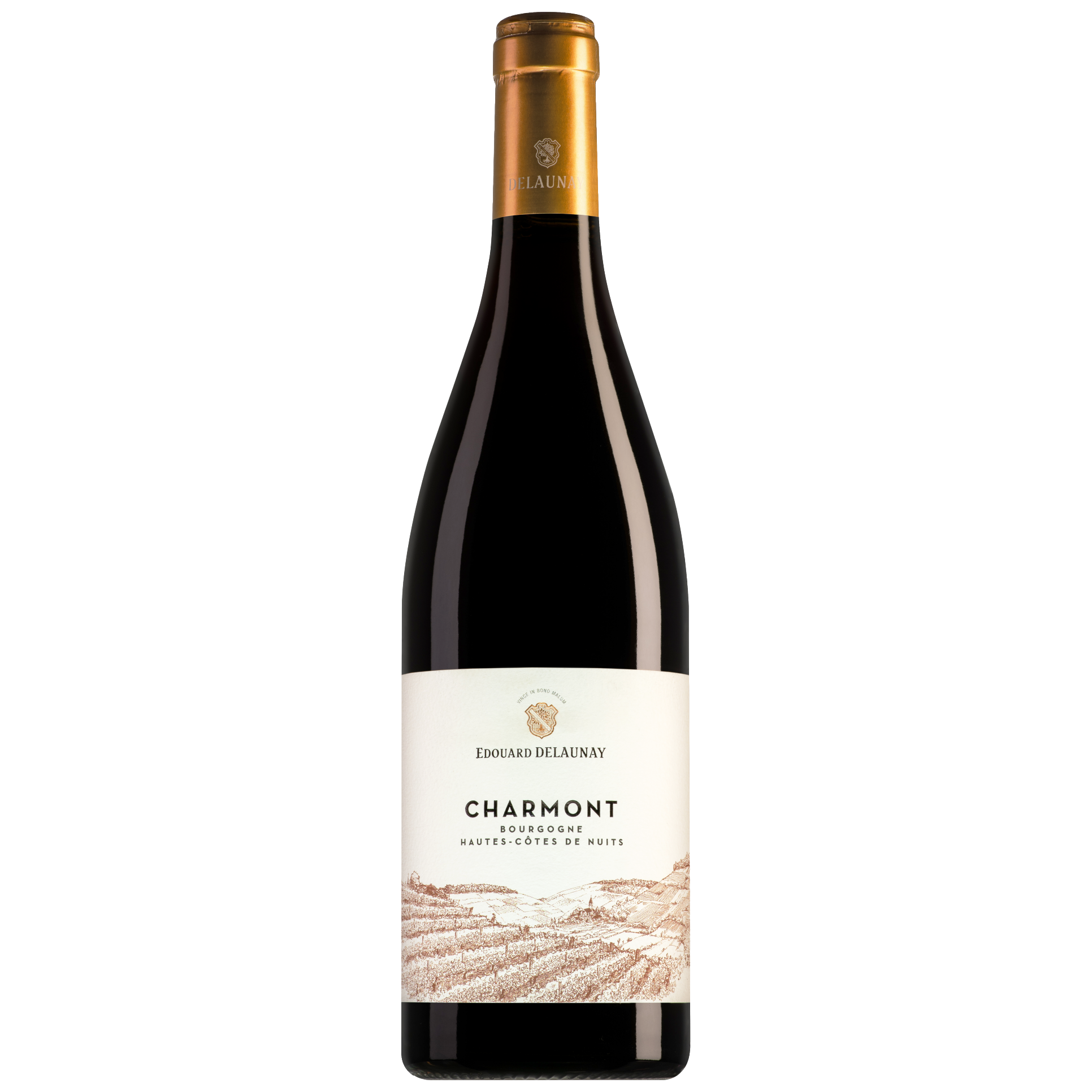 Edouard Delaunay Bourgogne Hautes-Côtes de Nuits Les Dames Huguettes 2021