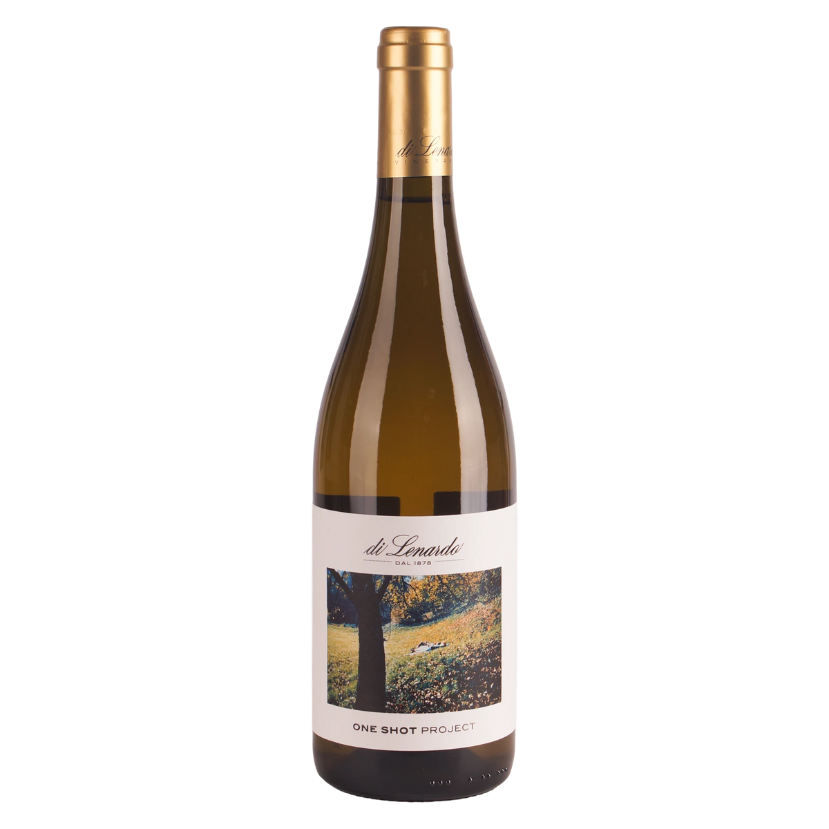 Di Lenardo Vineyards Venezia Giulia One Shot Malvasia 2023