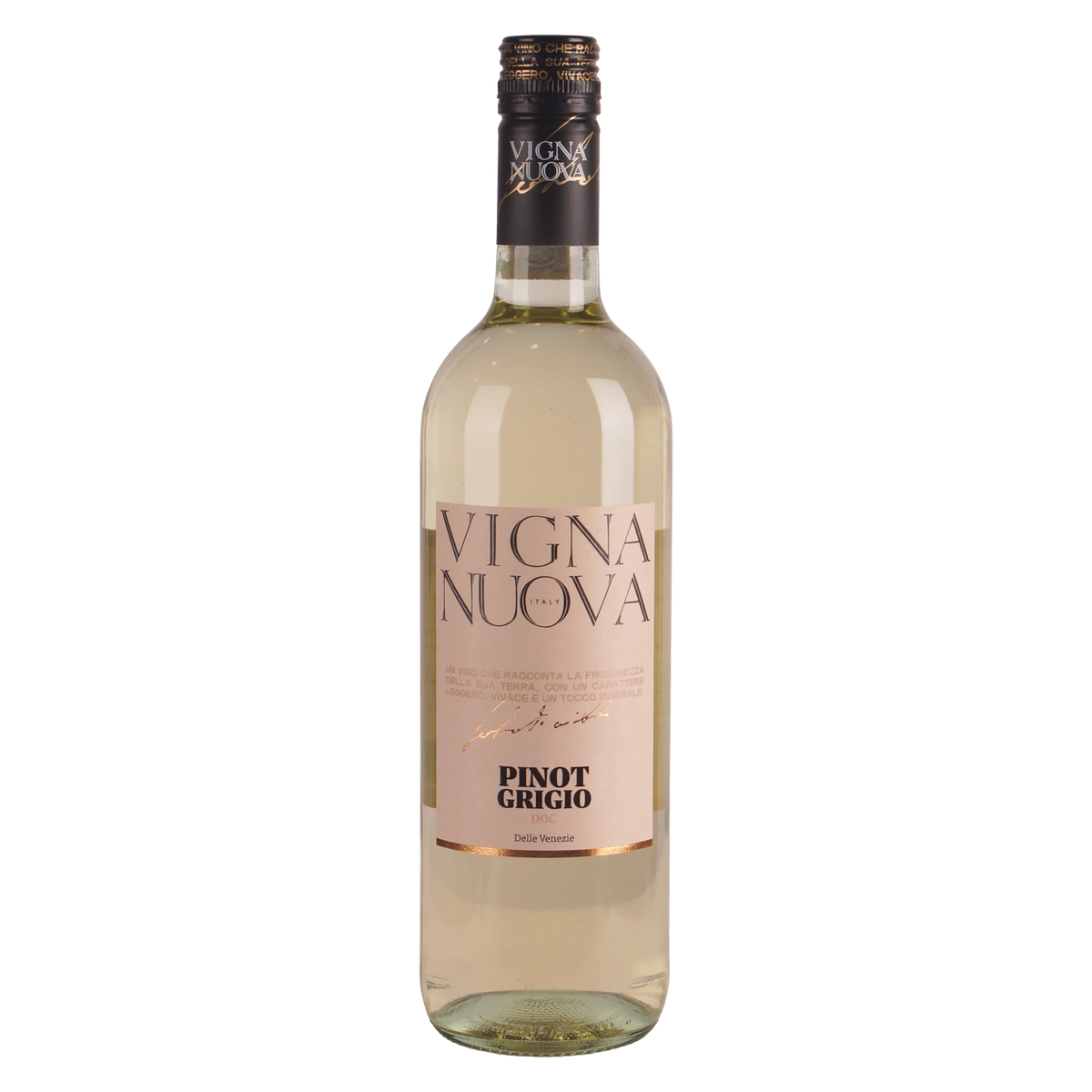 Pinot Grigio Vigna Nuova