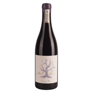 Villiera Stand Alone - Gamay Noir 2020