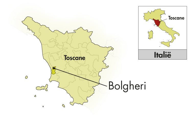 Area of Origin - Italië - Bolgheri