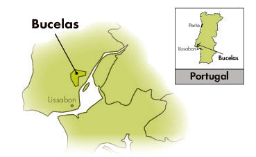 Area of Origin - Portugal - Bucelas