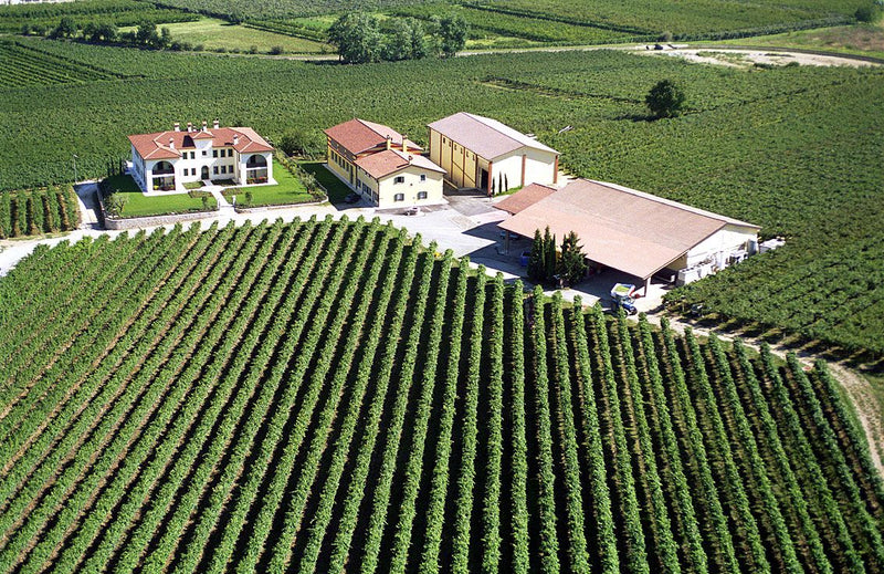 Azienda Monte del Frà
