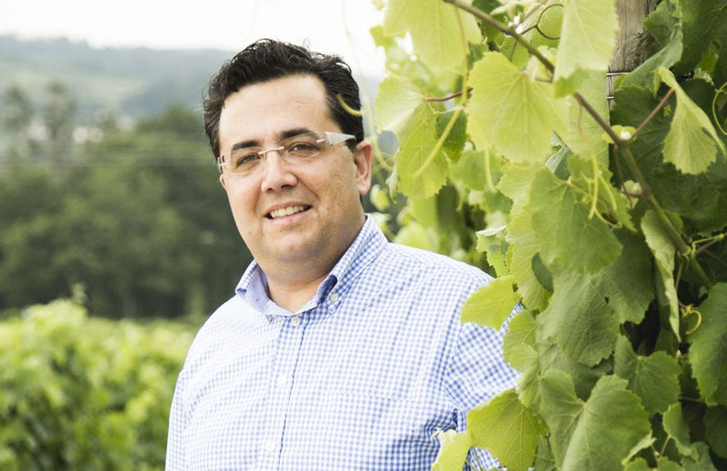 Bodega Pazo das Tapias
