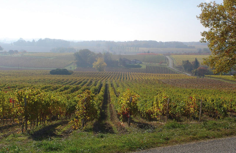 Domaine Chiroulet
