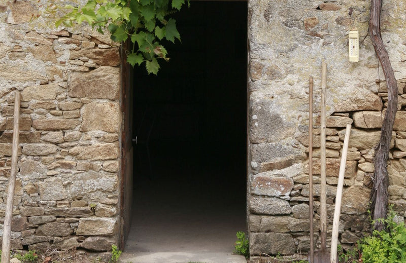 Domaine de la Pépière