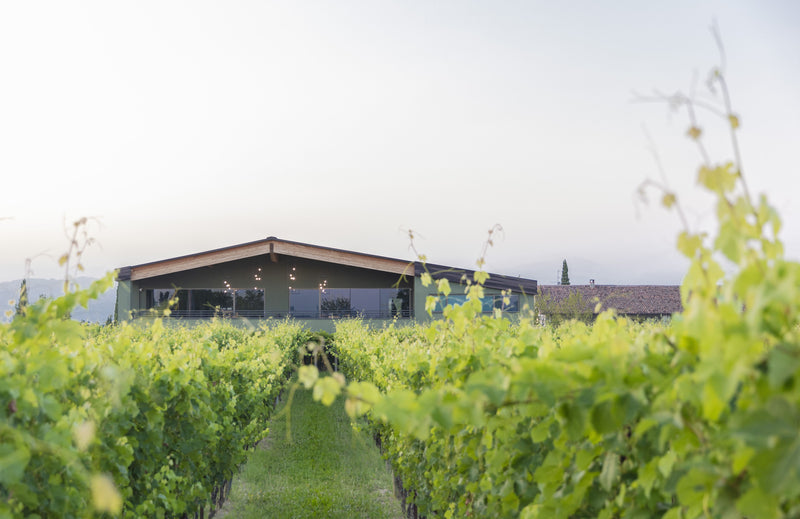 Famiglia Olivini