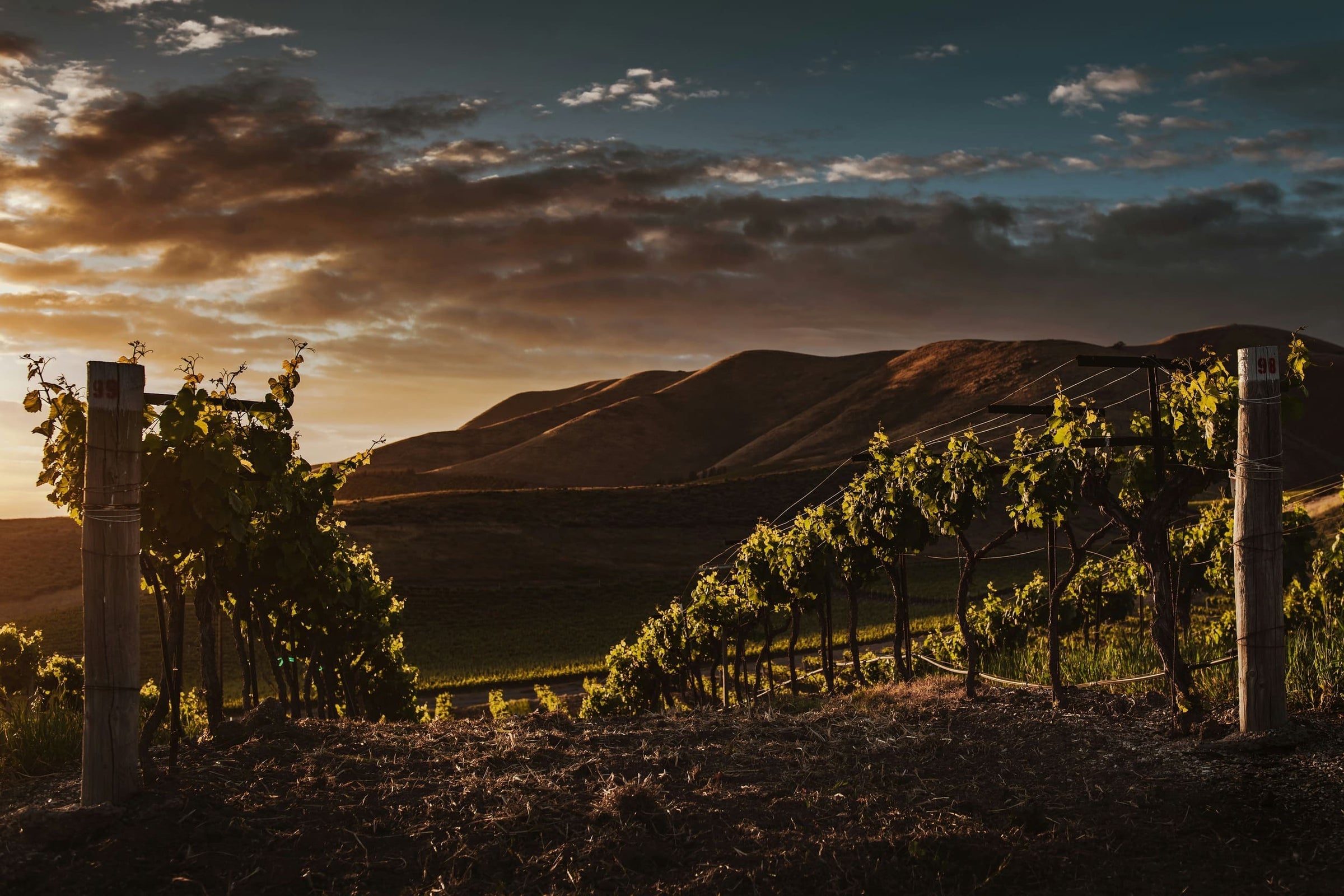 OONIVOO Wines & More in Uden