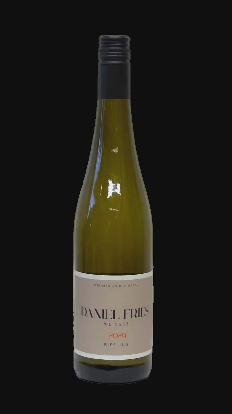 Daniel Fries Mosel Riesling Trocken 2024