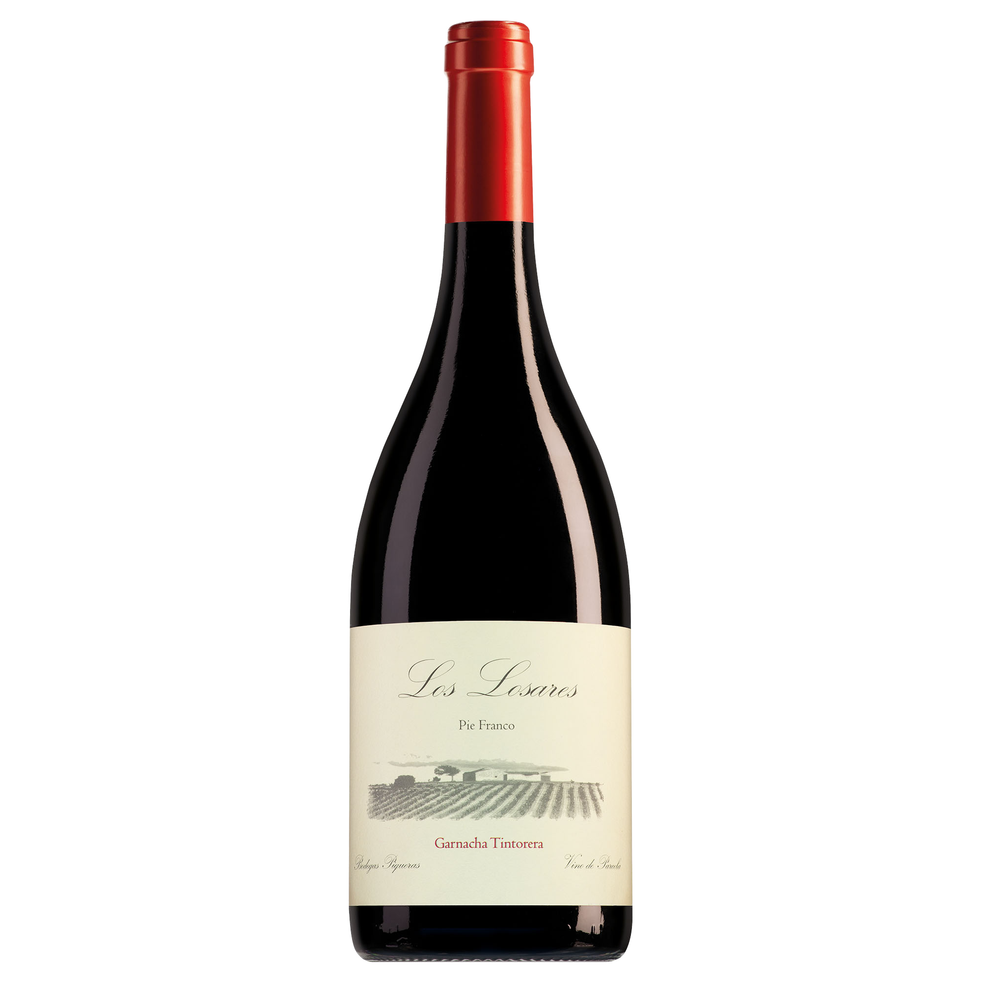 Bodegas Piqueras Almansa Los Losares Garnacha Tintorera