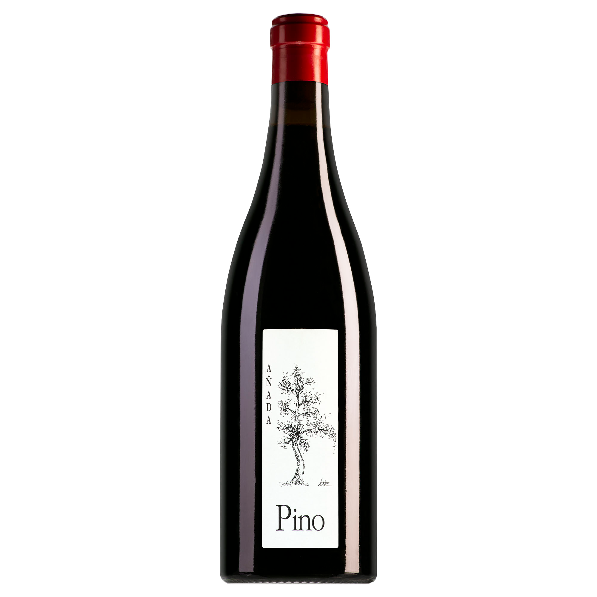 Bodegas Ponce Manchuela Pino Bobal