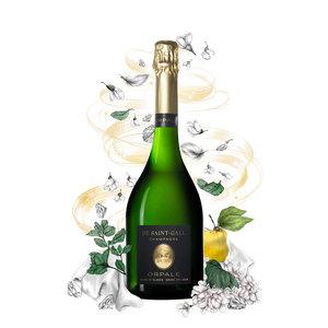De Saint Gall Champagne Orpale Magnum Giftpack