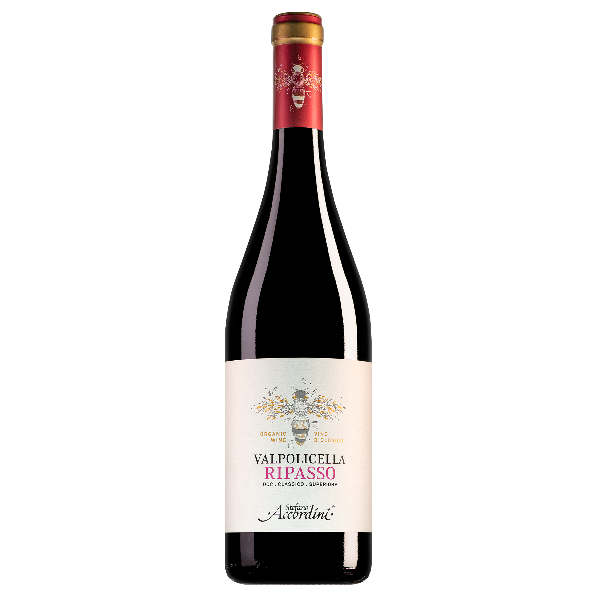 Stefano Accordini Valpolicella Ripasso Classico Superiore Biologico