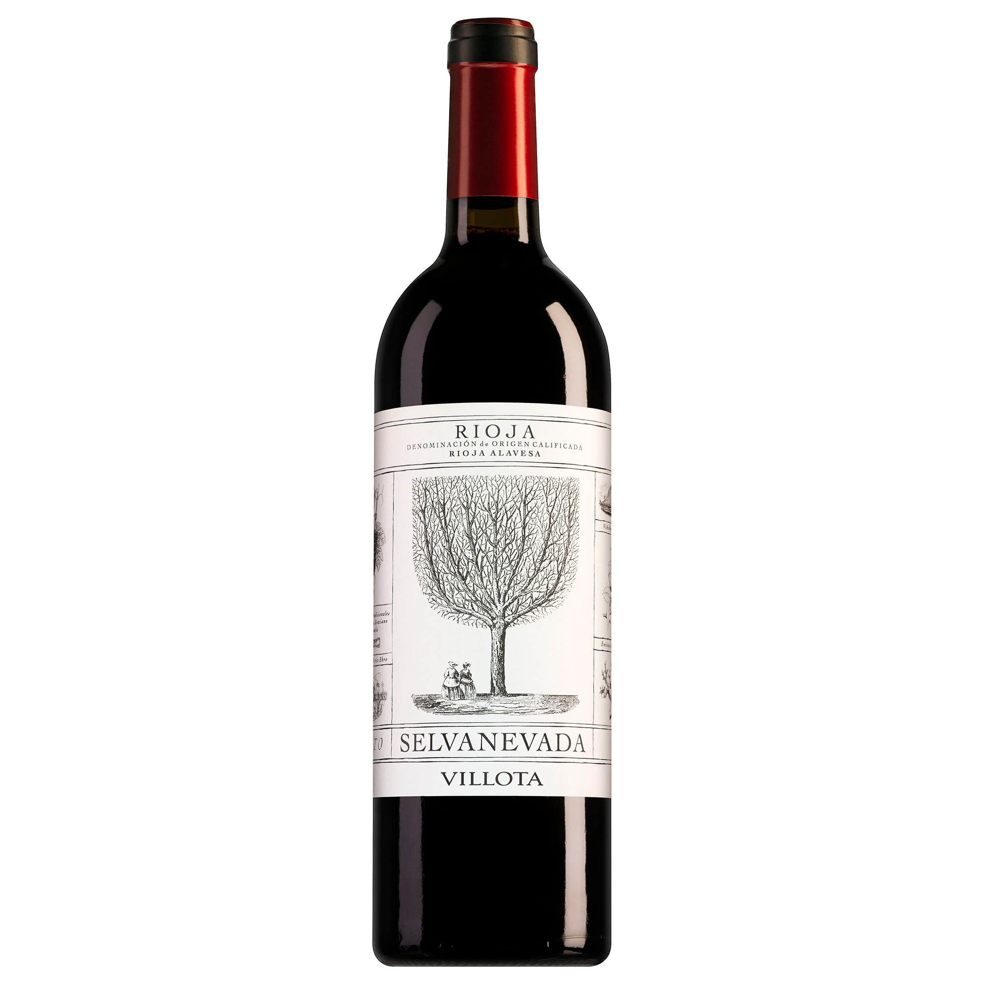 Viña del Lentisco Rioja Villota Selvanevada Tinto