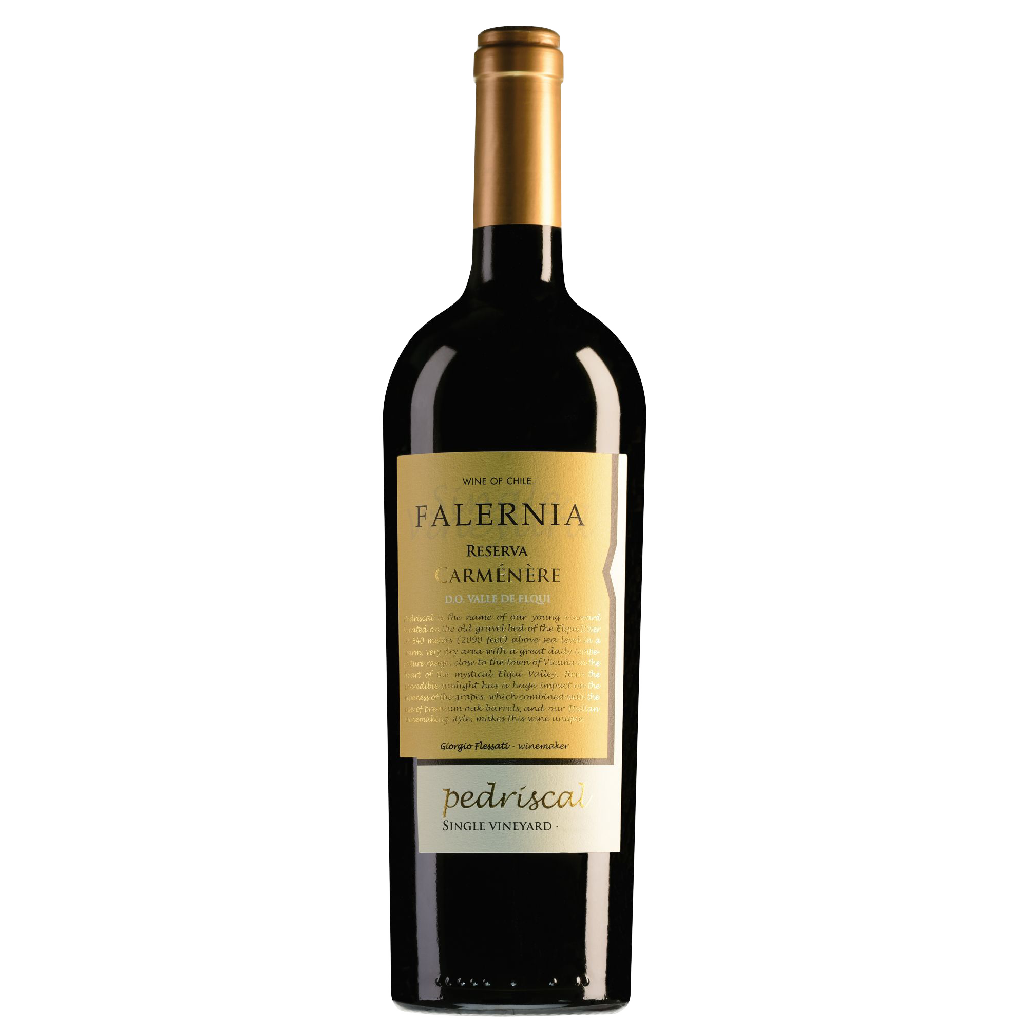 Viña Falernia Elqui Valley Pedriscal Carmenère